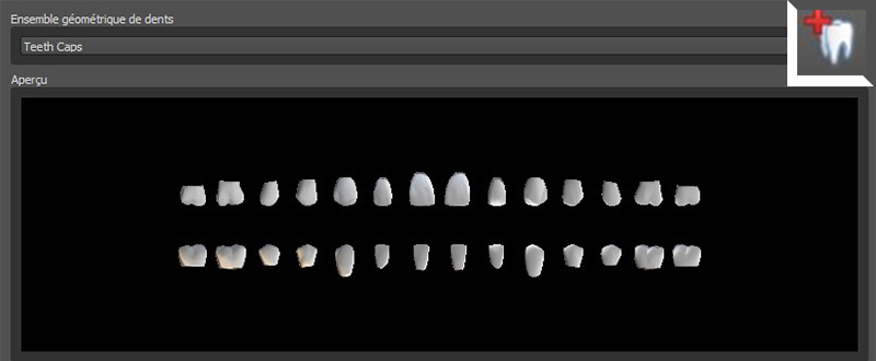 Formation-Boccara-Choix-des-dents